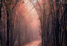 天涯论坛关闭，你做好准备了吗？