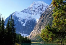 天涯论坛关闭，你做好准备了吗？