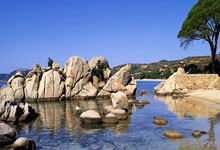 天涯论坛关闭，你做好准备了吗？